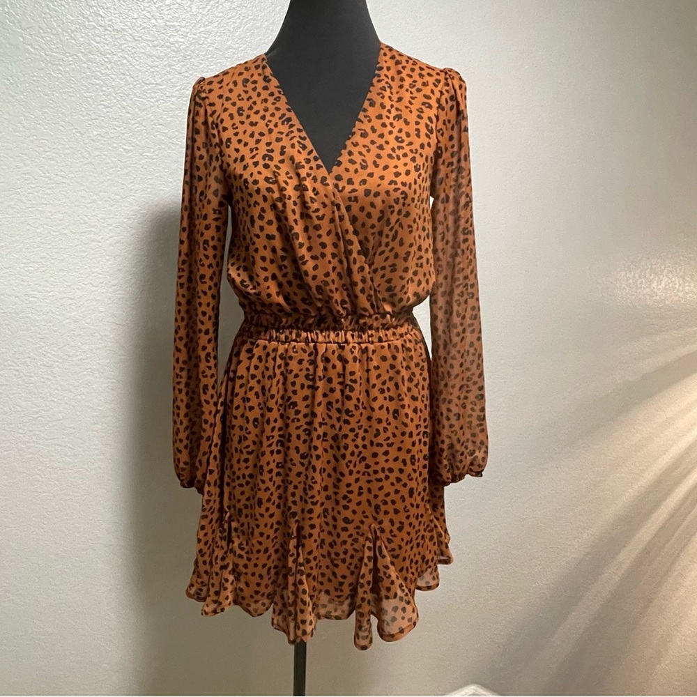 Trixxi Animal Print Mini Flowy Sheer Long Sleeve Dress Medium